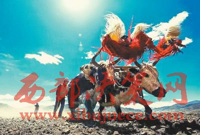 1497843212575507.jpg 1.jpg