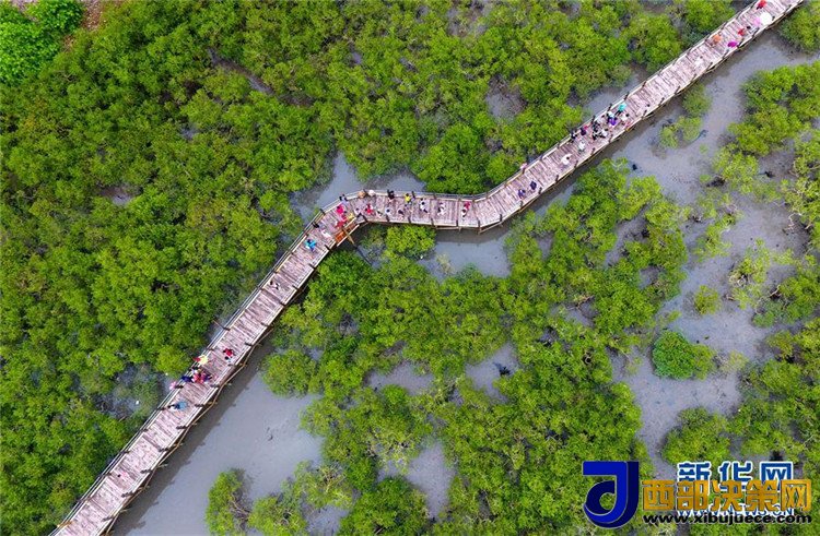 1506477812791397.jpg 3.jpg