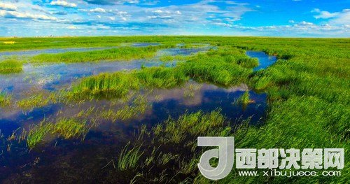 呼倫湖濕地。吳勇攝
