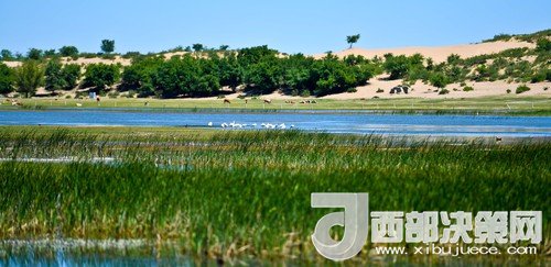 阿魯科爾沁保護區(qū)濕地沙丘。吳勇攝