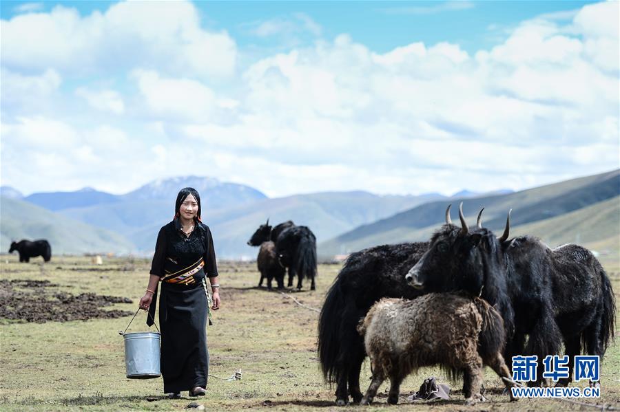 (新華全媒頭條·決戰(zhàn)決勝脫貧攻堅(jiān)·圖文互動(dòng))(3)在青山綠水間跨越千年——青海探索生態(tài)脫貧之路報(bào)告