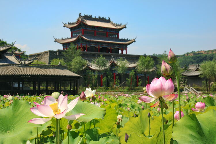 【云游渭南】心中若有桃花源，此處便是水云間！待疫情散盡，一起來渭南桃花源賞美景、觀民俗、享美食_fororder_2